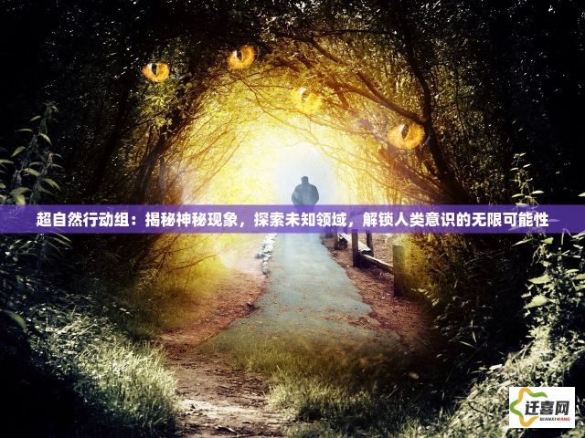 超自然行动组：揭秘神秘现象，探索未知领域，解锁人类意识的无限可能性