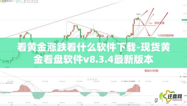 看黄金涨跌看什么软件下载-现货黄金看盘软件v8.3.4最新版本