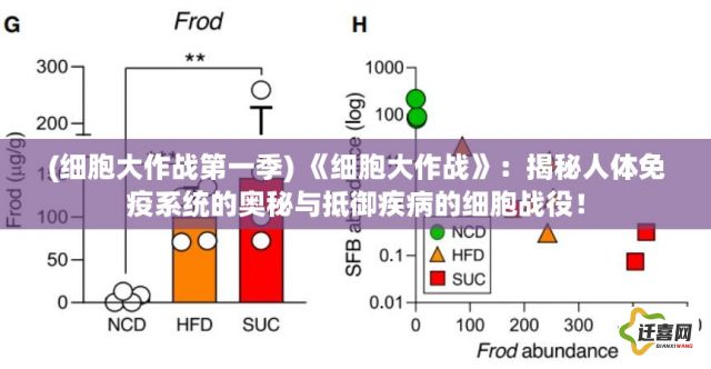 (细胞大作战第一季) 《细胞大作战》：揭秘人体免疫系统的奥秘与抵御疾病的细胞战役！